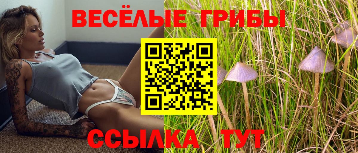 Железногорск  Галлюциногенные грибы мухоморы  Вход с VPN 