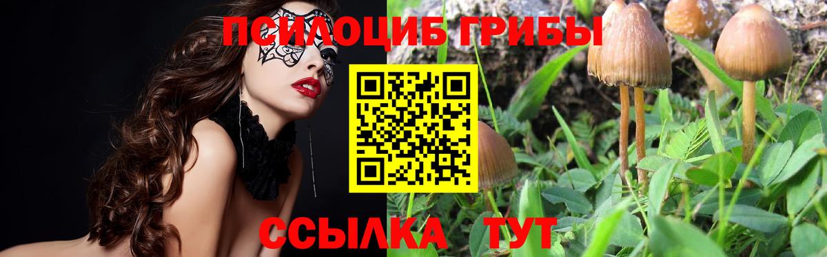 Галлюциногенные грибы мицелий Железногорск
